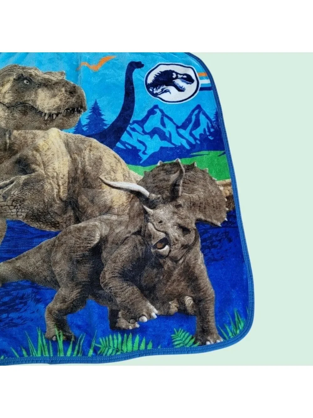 Jurassic World Throw Blanket Fleece Dinosaur T-Rex Raptor Travel Lap Afghan